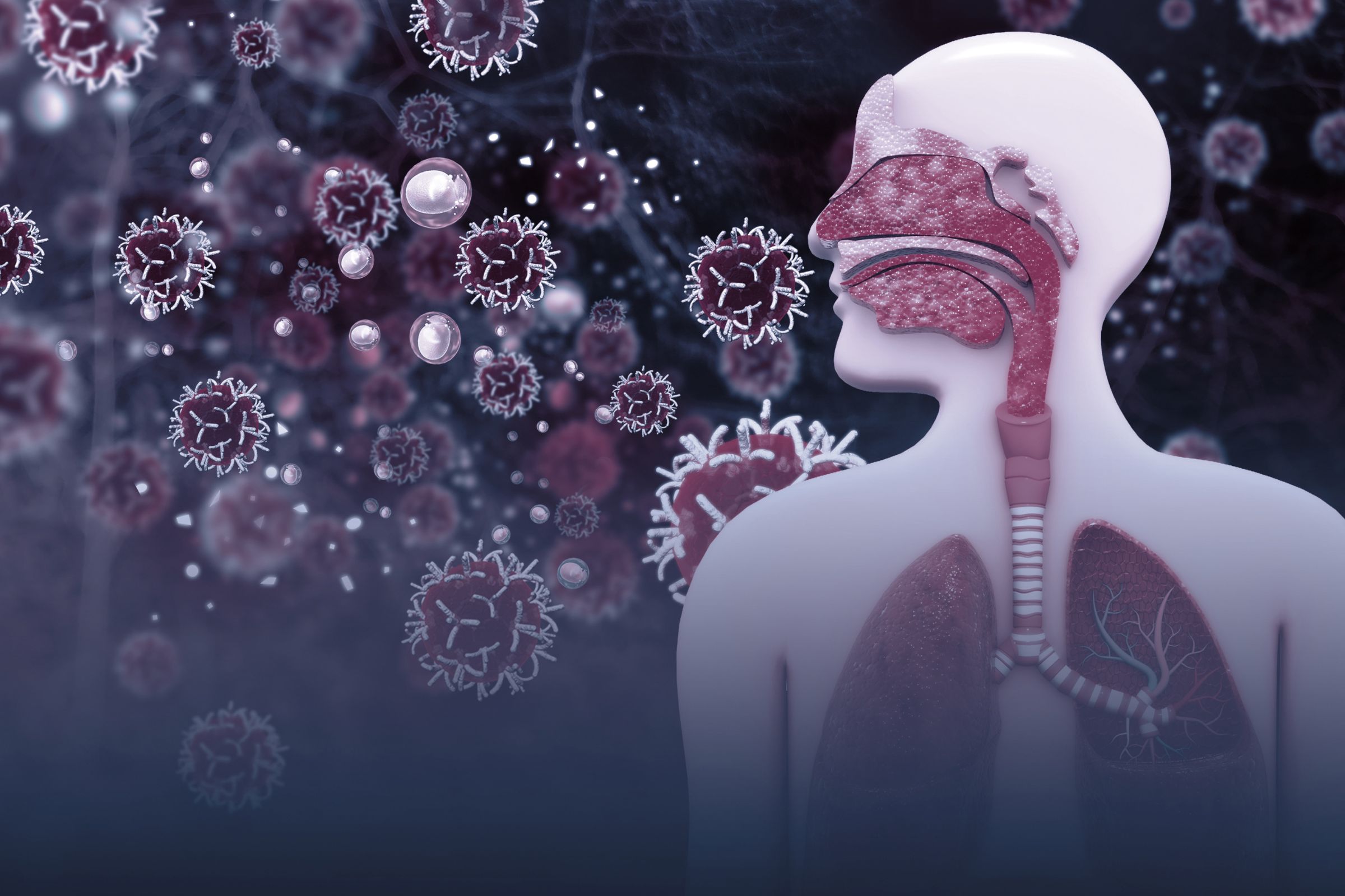 What Are The Common Symptoms Of A Respiratory Infection Inglemoor what-are-the-common-symptoms-of-a-respiratory-infection-inglemoor